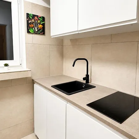 Napoléon 1er Apartmán Lucembursko